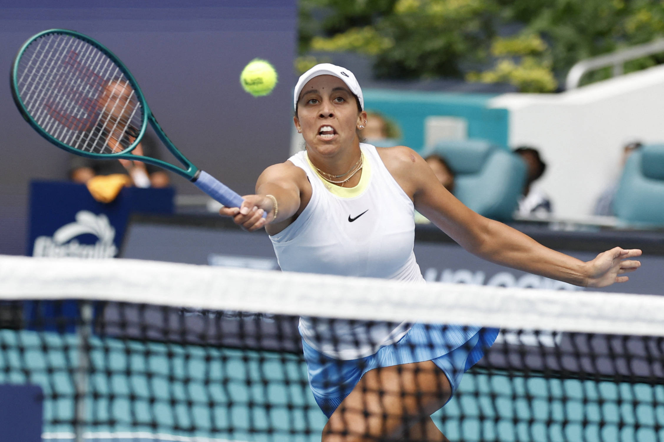 斯塔卡的夺 斯塔卡的夺