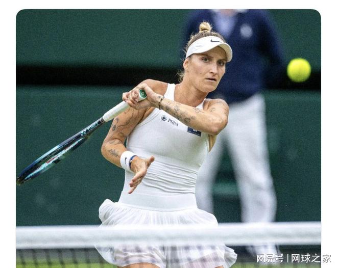 廷的比赛中 廷的比赛中