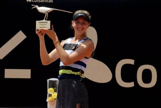 正如哈里 正如哈里